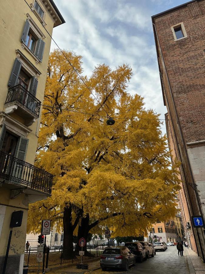 Domus Largo Pescheria Verona Eksteriør billede